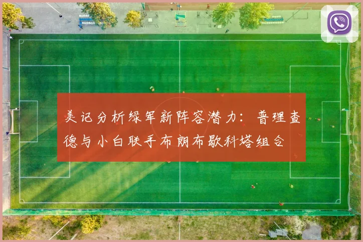 美记分析绿军新阵容潜力：普理查德与小白联手布朗布歇科塔组合
