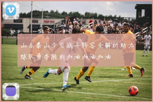 山东泰山今日战斗阵容全解析助力球队勇夺胜利加油加油加油